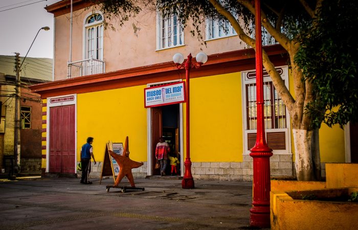 MUSEO_DEL_MAR1