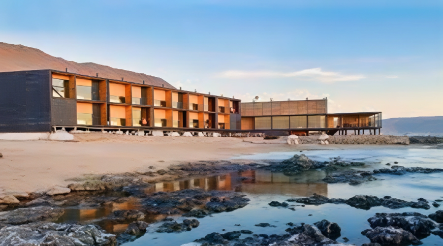 images (2) (1)-artguru (1) (1) (1)